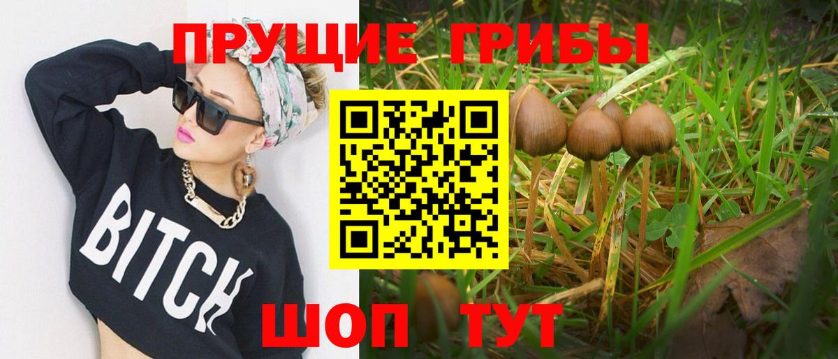 Кудымкар  Галлюциногенные грибы GOLDEN TEACHER  Галлюциногенные грибы Magic Shrooms  Вход с VPN 